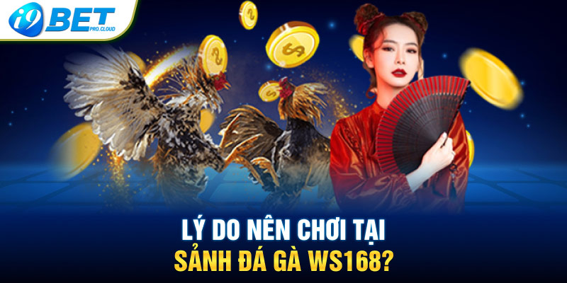 Lý do nên chơi tại sảnh đá gà WS168?