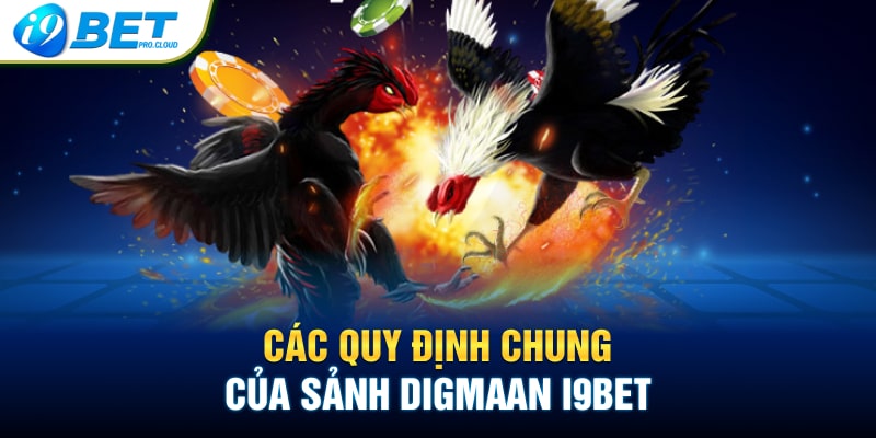 Các quy định chung của sảnh Digmaan I9BET