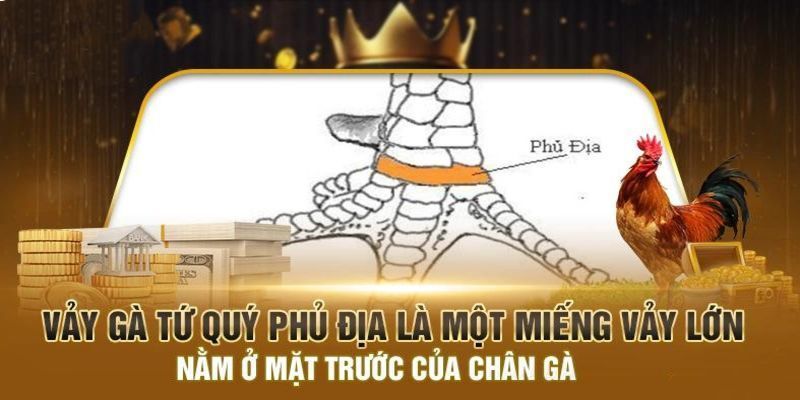 Tổng quan về Vảy Gà Tứ Quý Phủ Địa cực kỳ quý hiếm